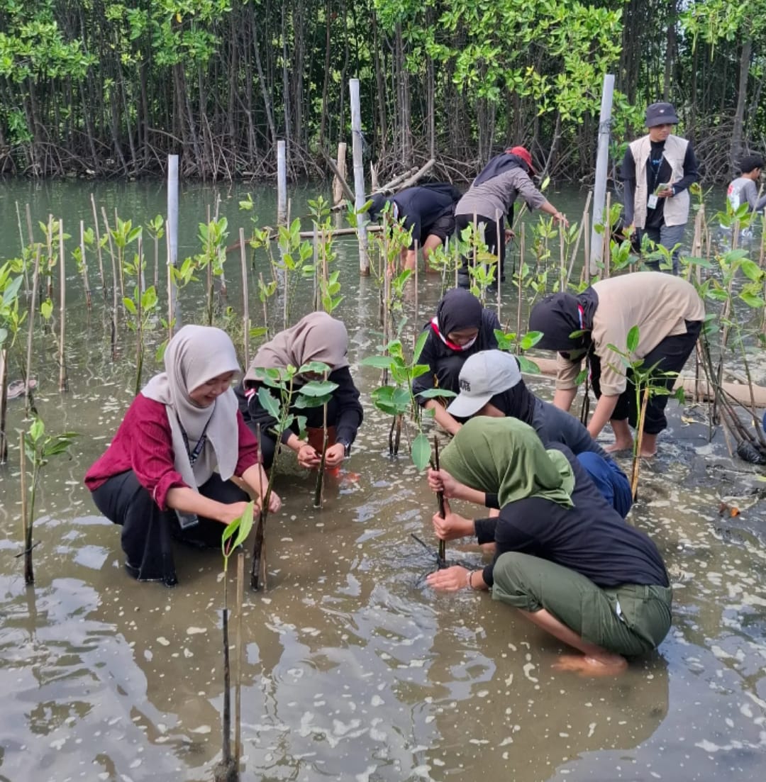 Penanaman 100 Bibit Mangrove di Pantai Tirang 